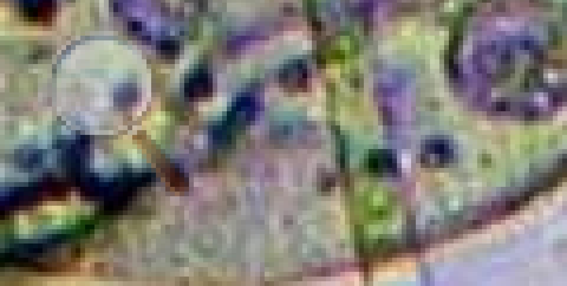 适合电脑屏幕放大的放大镜,电脑放大镜使用技巧