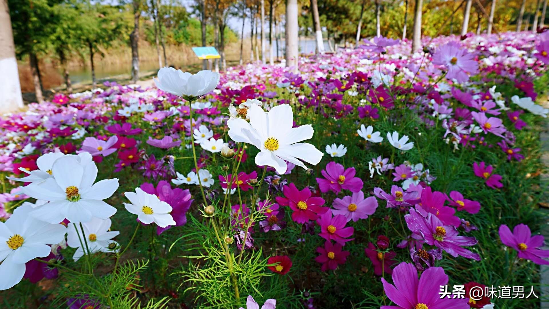 孩子去大学了想家怎么安慰,孩子上了高中住校想家怎么办