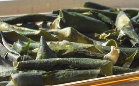 治疗湿寒的中药处方,中药寒症热症要分清楚