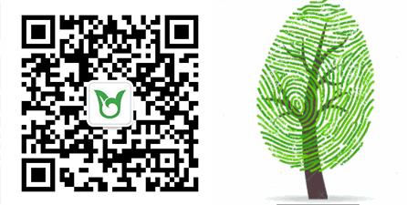 广州白云中学如何报名,就读广州白云中学需要什么条件