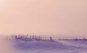 105岁病毒感幸存者发出警告：抗疫两个月，我们已重复了9个错误