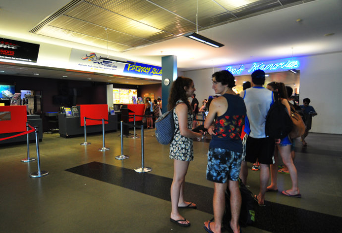 全民热遗｜大堡礁上有个翡翠岛，绝美好玩，还是海龟康复中心