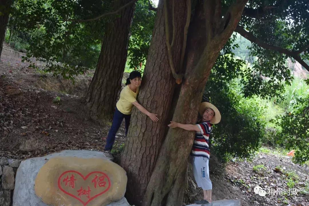平远免门票景点,国庆人少好玩的地方推荐