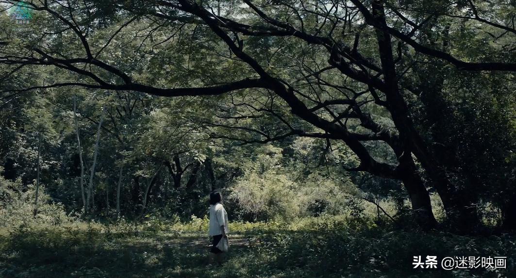 灵媒纪录片是真的吗,灵媒小队纪录片是真的吗