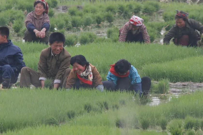 中国三次革命分别是什么,两次粮食革命是什么