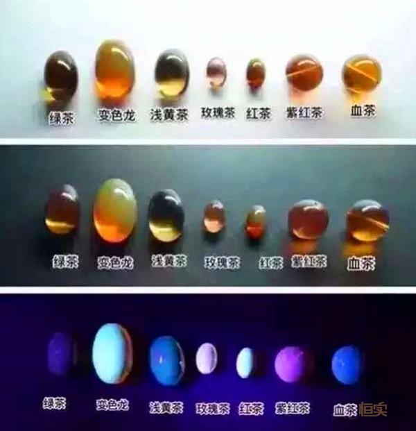 缅甸琥珀和抚顺琥珀哪个好,一篇文章搞懂常见紫砂壶分类