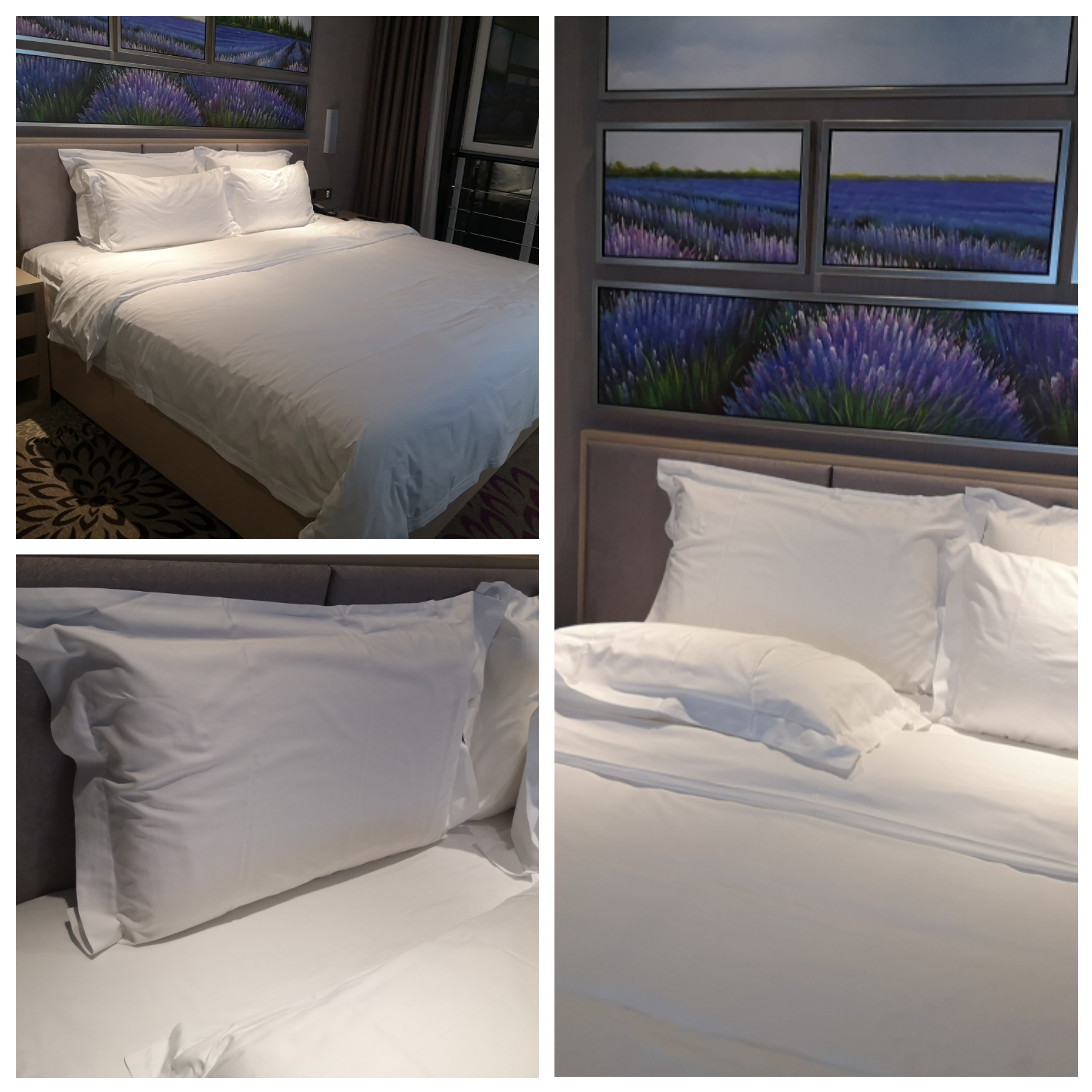 丽枫酒店怎么入住便宜,麗枫酒店和维也纳