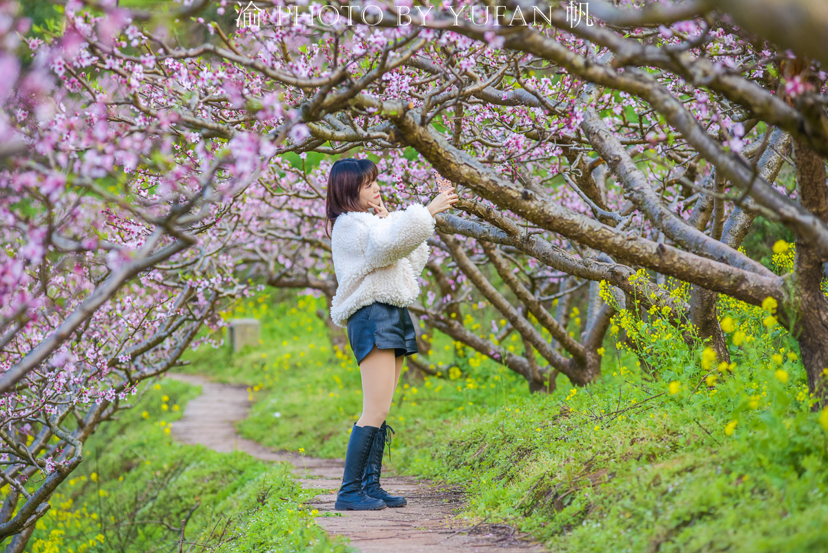 潼南桃花山景区,潼南春游踏青最佳地