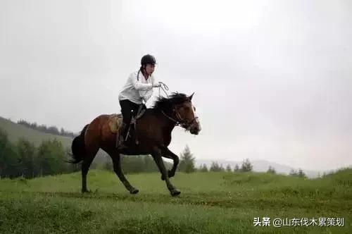 日照花仙子打卡地,日照东夷小镇旅游攻略