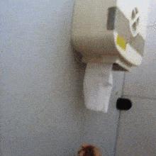 卫生纸每天都用吗,用了30年卫生纸原来都用错