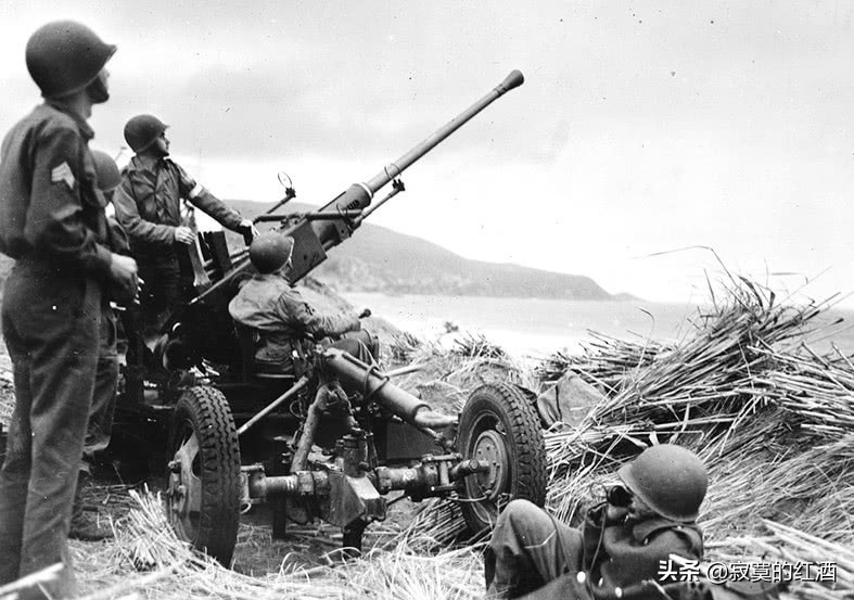 苏联博福斯高炮,瑞典博福斯公司生产了哪些坦克