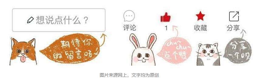 猫咪是液体做的？主人以为泡沫盒里多了根棍子，仔细一看竟是只猫