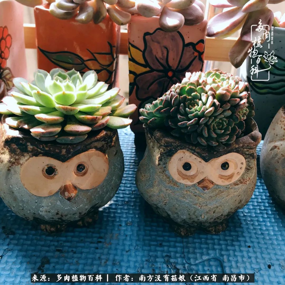 既见云胡不喜,既见君子云胡不喜毛笔楷书