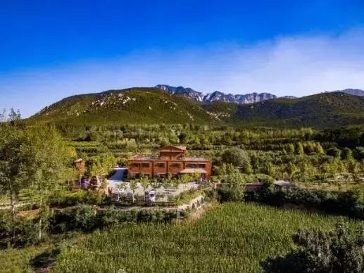 全国最美民宿和特色酒店,五星级大型酒店