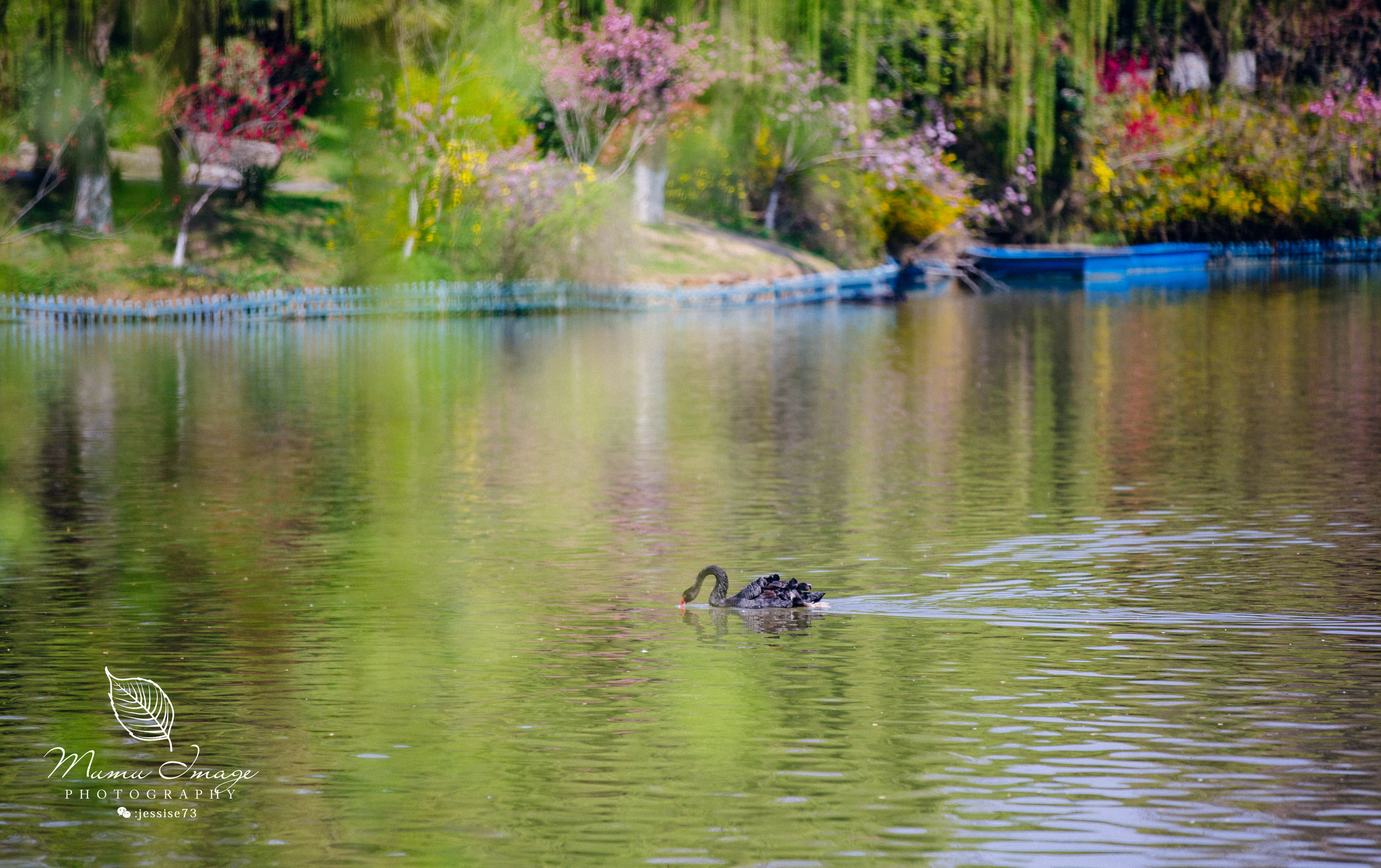 扬州是个不花钱的公园,扬州本地人最喜欢去的公园