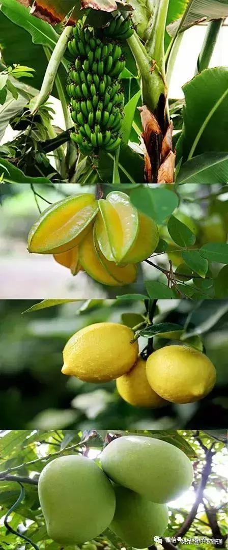 忻州保德好玩嘛,山西保德去哪玩