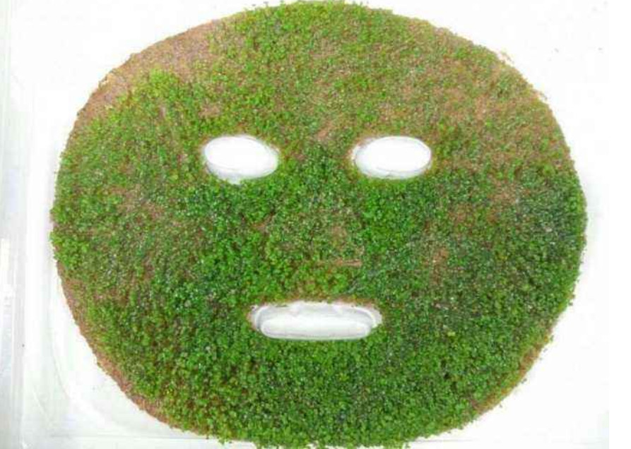 海藻面膜究竟是啥,海藻面膜起到什么效果