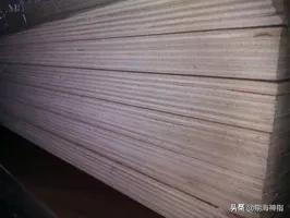 期货交易中的真实事件,期货市场十大血腥事件