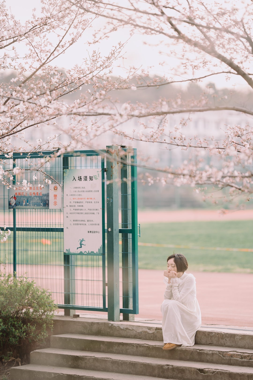 如何零基础自学摄影,如何系统地自学摄影后期