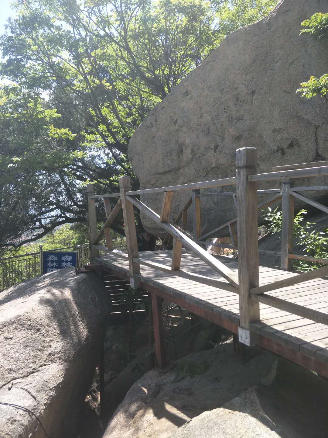 踏春五宝庵风景,踏春五宝庵山在哪里