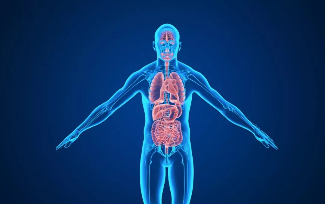 胃病反复发作，总治不好，如何解决，中医医生告诉你