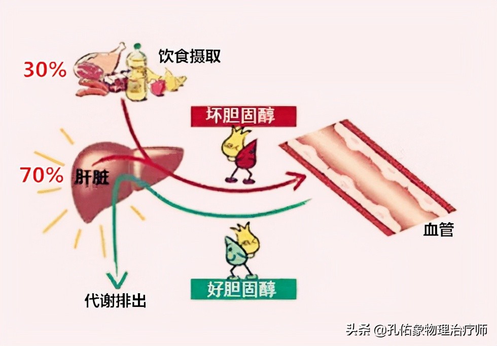 中老年人血脂高有什么危害,中老年人血脂高怎么治疗