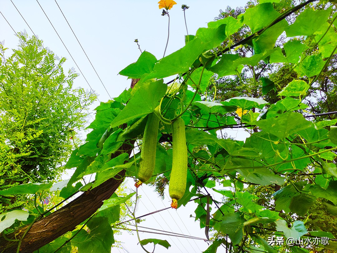 徒步米仓古道的感受,徒步石家庄大峡谷