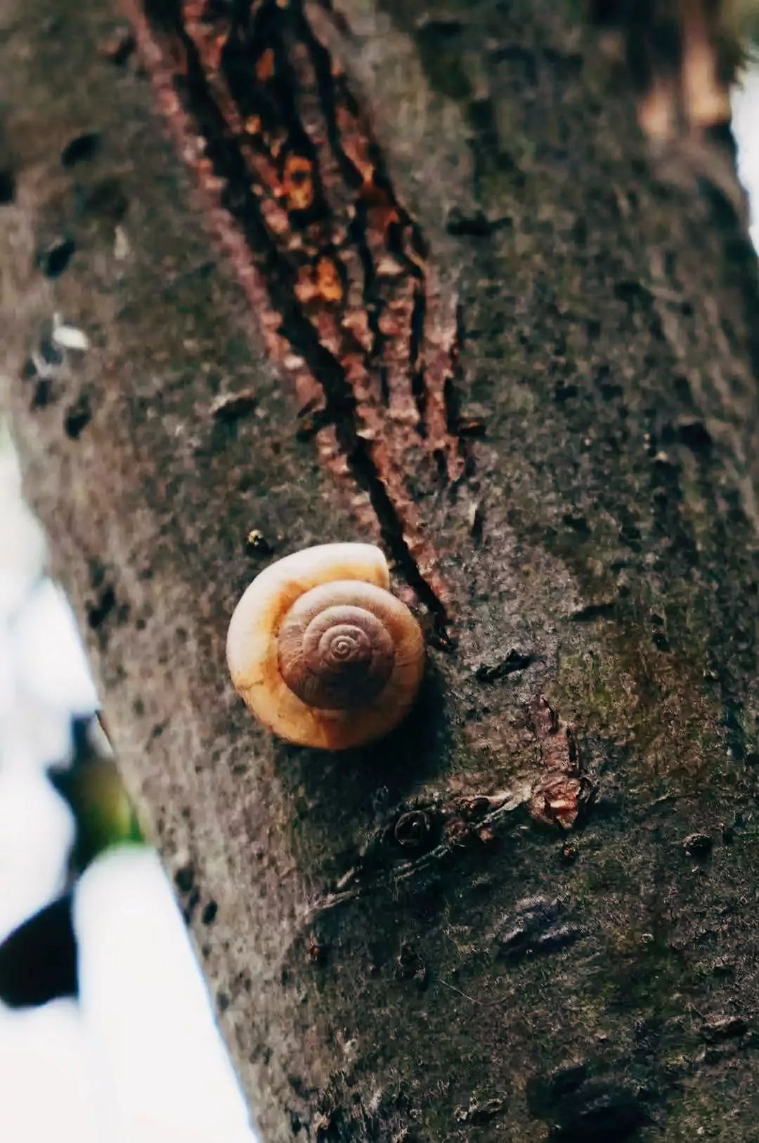 中国民航大学地位,中国民航大学很牛吗现在还有吗
