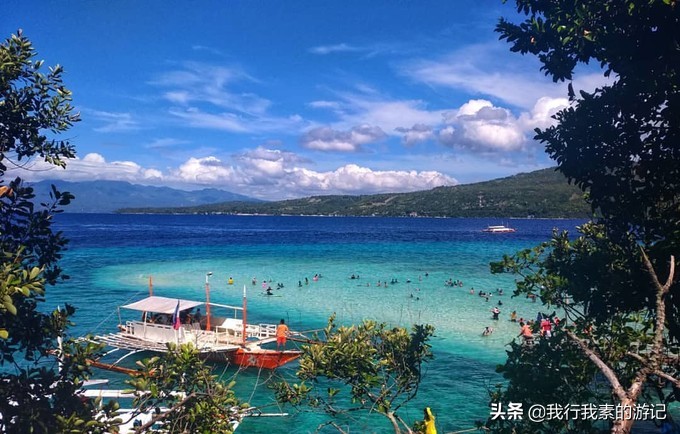 想去看鲸鲨？这里可以满足你