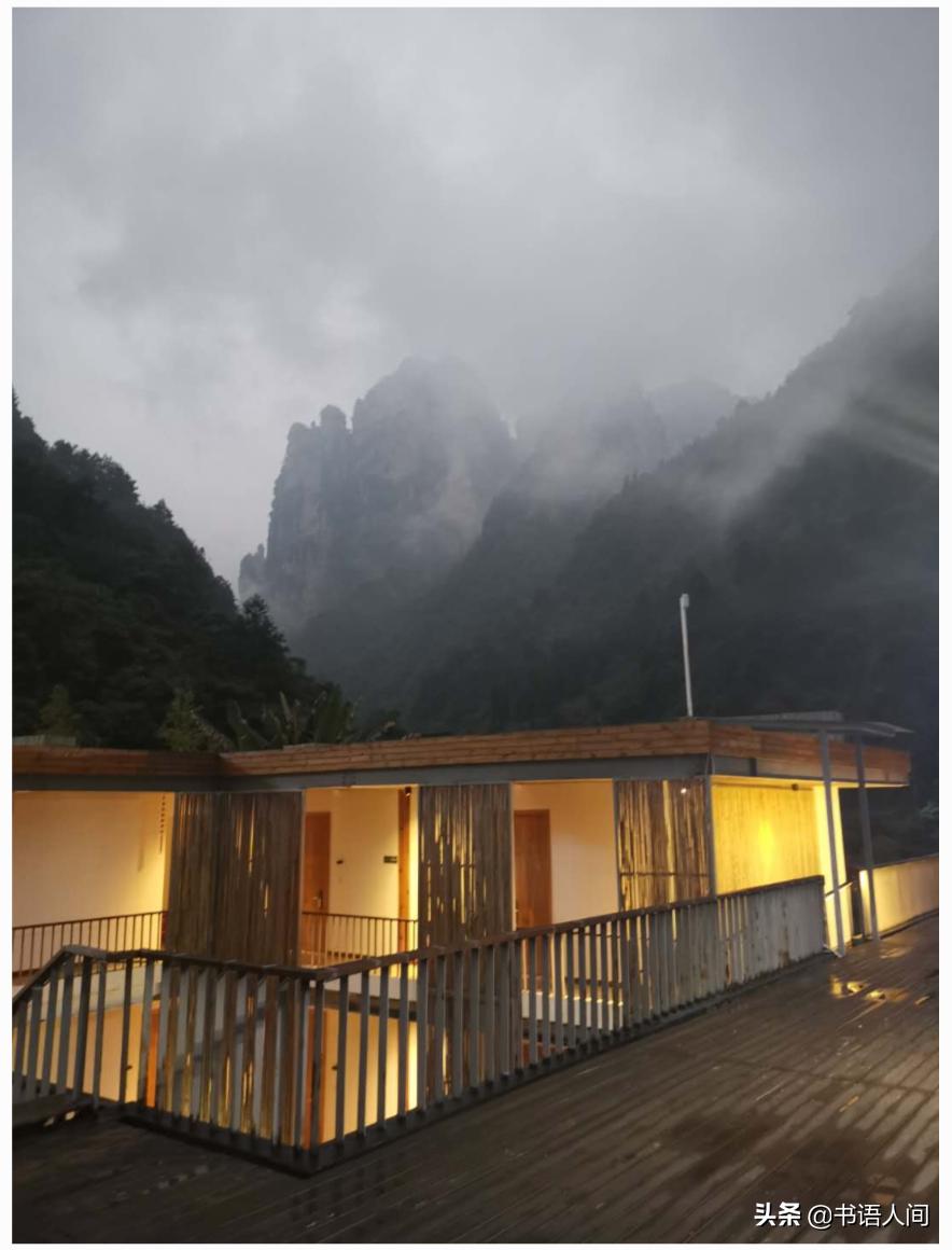 在山上被猴子追,张家界黄石寨的猴子抢东西视频