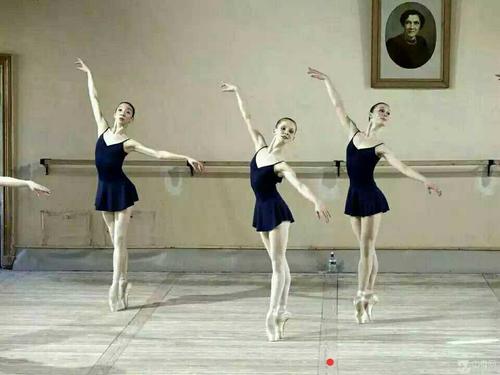 学芭蕾与中国舞的区别,学芭蕾还是中国舞启蒙