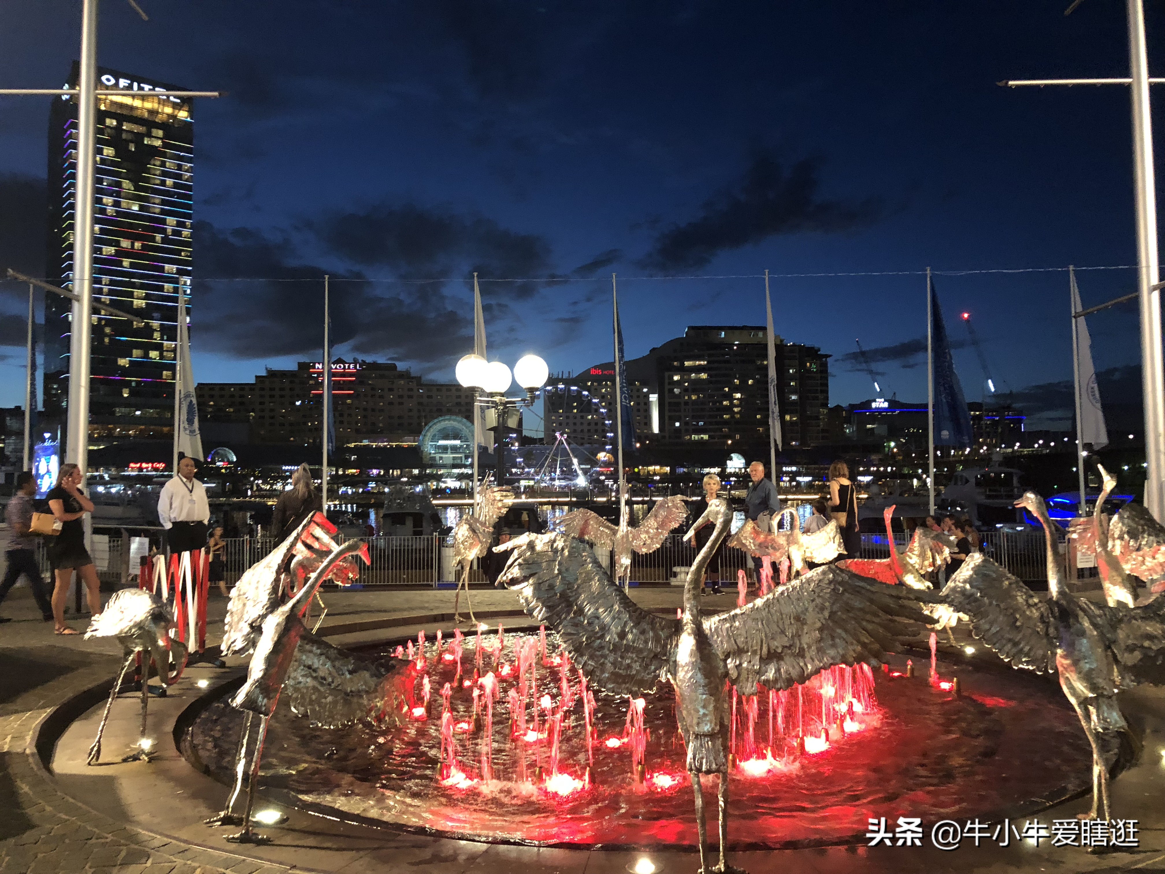 悉尼7日游自由行攻略,澳洲阿德莱德旅游攻略