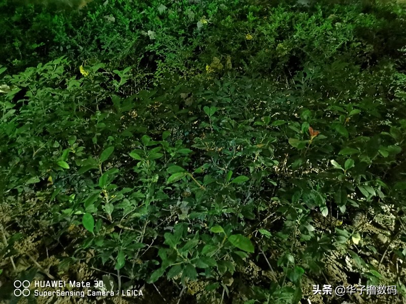 华为mate305g还值得买吗,华为mate305g详细使用测评