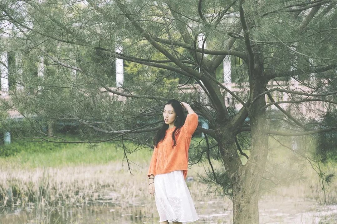 深圳旅游攻略地铁沿线景点,深圳市地铁2号线打卡的24个景点