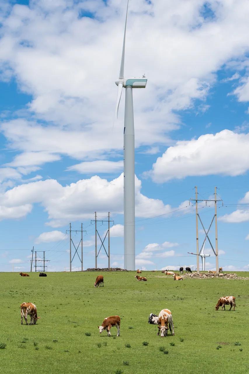 八月的呼伦贝尔大草原,辽阔的呼伦贝尔大草原风景