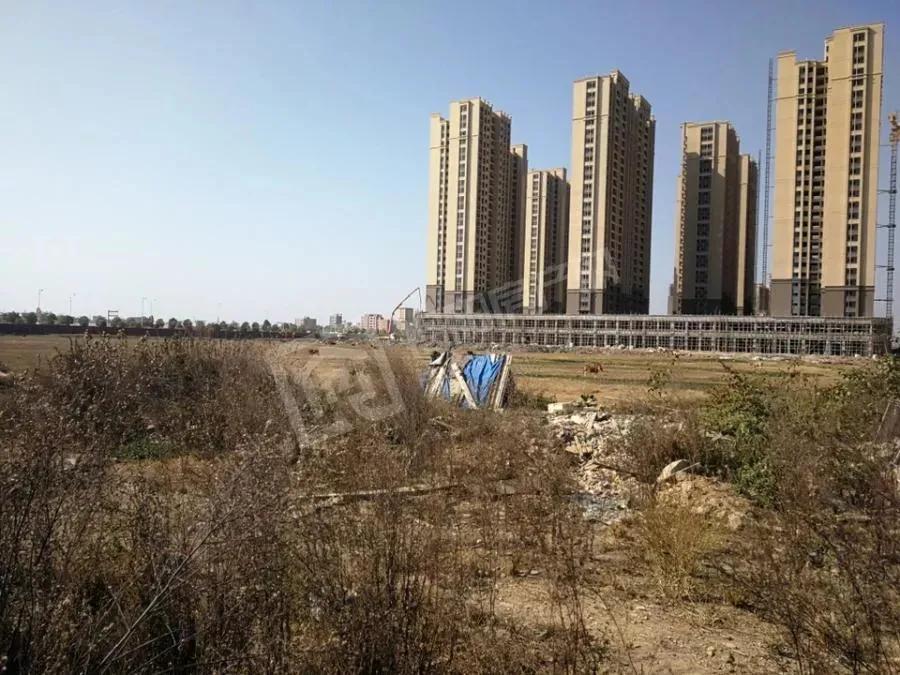 惠来粤东新城开始建设最新消息,2024粤东新城即将开工的项目