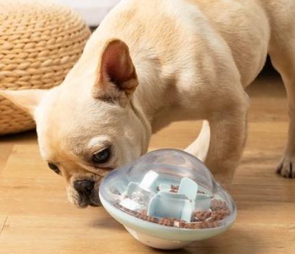 养小狗的省钱好物推荐,狗狗必买好物推荐