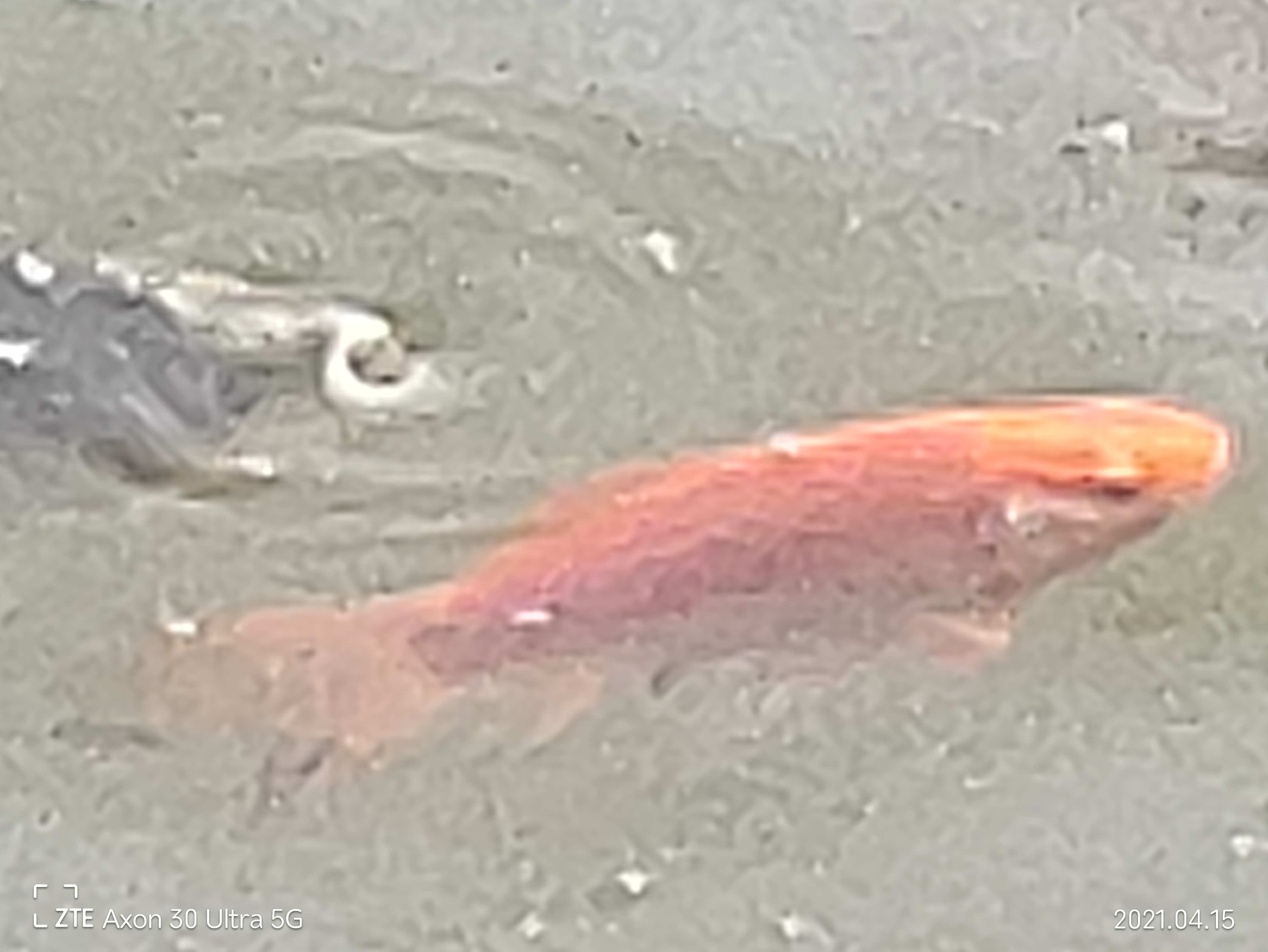 中兴axon30ultra评测屏下摄像头,中兴axon30ultra三千新机能入手吗