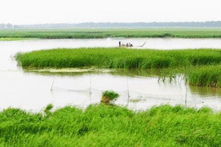 大农业、大食品、大格局、大品牌！河北新农业产业新星涌现