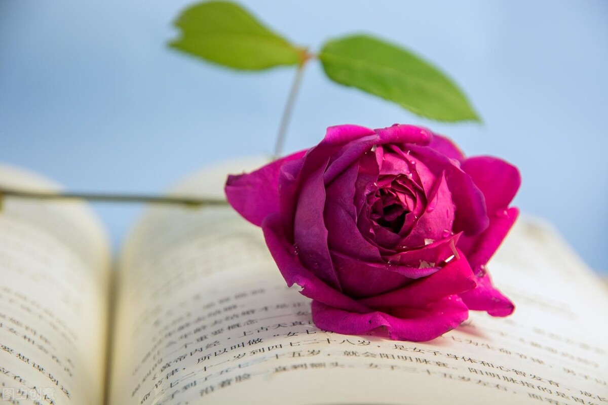 失而复得的爱情完整版,失而复得的爱情