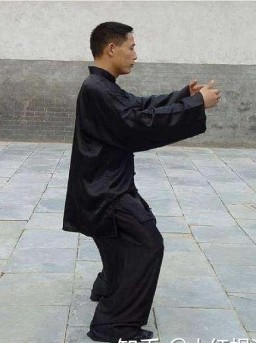 无极草书写法,无极草书视频