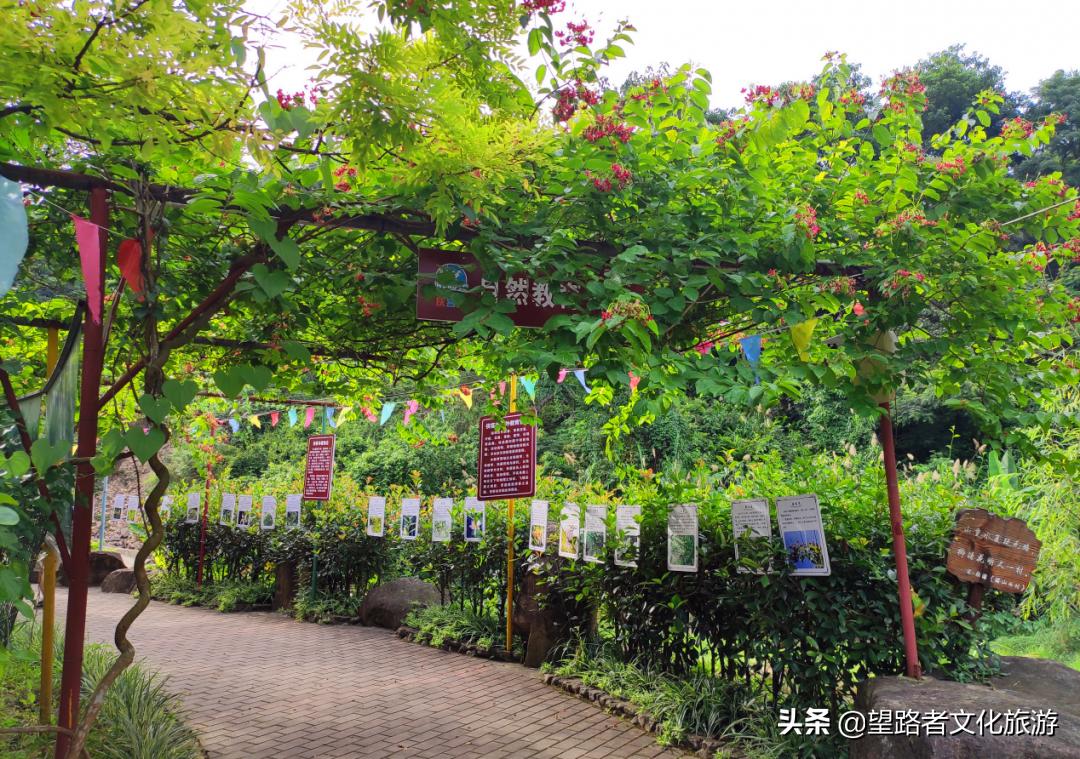 旗山农家小院,旗山农家乐