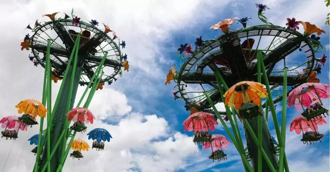 带小婴儿长隆动物园游玩攻略,亲子游玩广州熊猫酒店长隆攻略