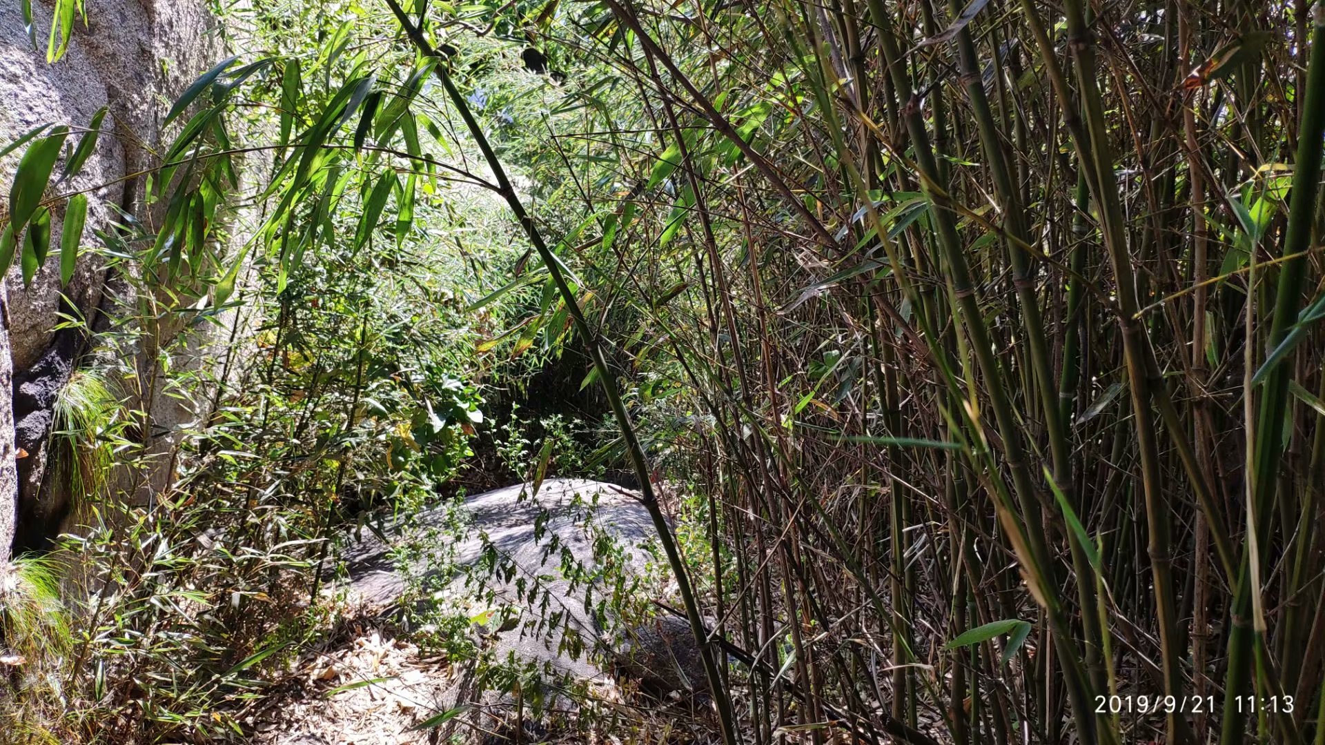 远征三晋凯旋还，飓风众人把酒欢