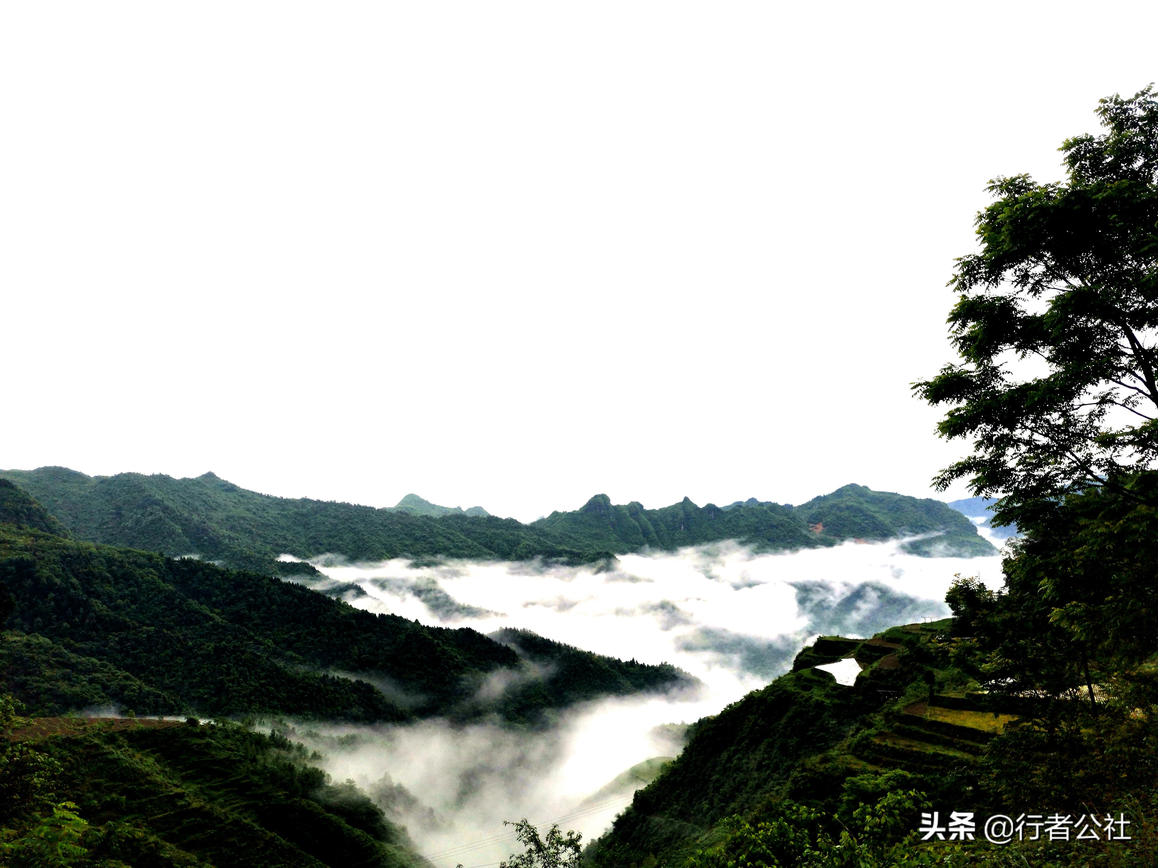雨后青山云雾缭绕温度宜人,雨后青山云雾缭绕