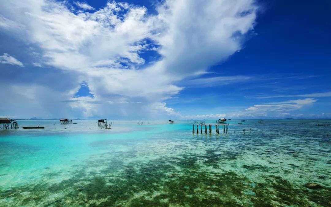 亚洲哪个亚的地区水资源储量丰富,亚洲哪个国家煤炭储量最多