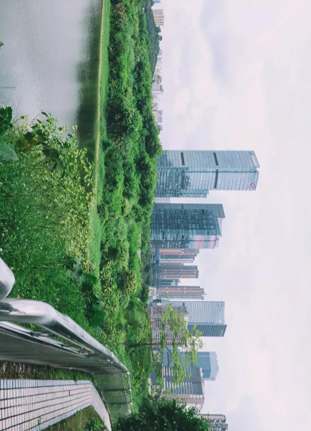 深圳市美美美,深圳最美免费水库