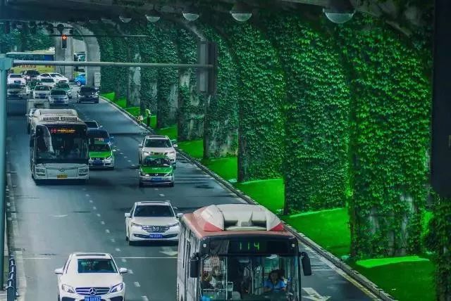 成都二环绿化,成都二环绿植视频