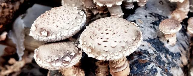 商洛一座美丽的城市,商洛最美的小城市