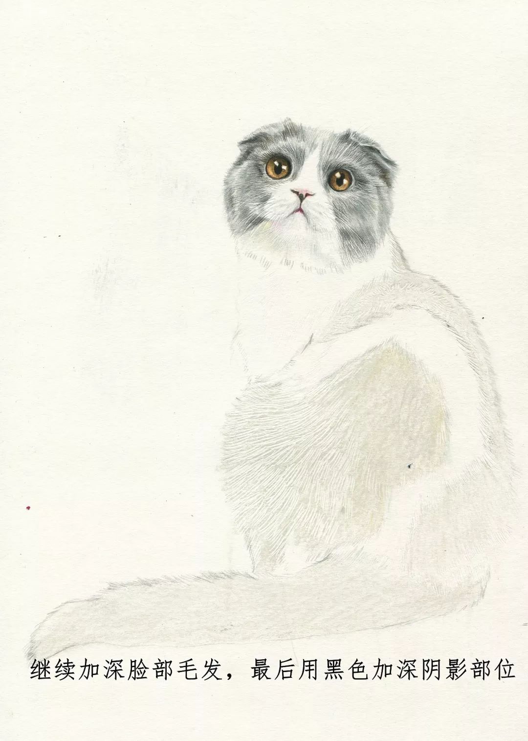 素描动物入门知识,素描动物简单入门教程狗